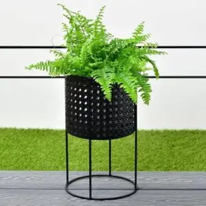 Botanical Garden Cane Effect Metal Planter - Black